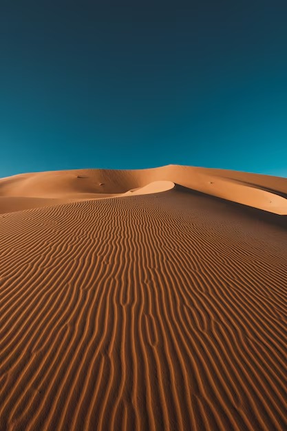 Fahad Al-Zamil
